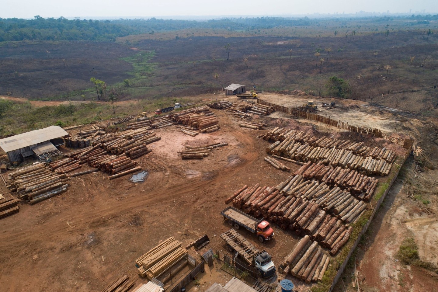 Holzstämme werden in Brasilien in einem Sägewerk gestapelt: Beim Weltnaturgipfel im kanadischen Montreal geht es um Artenschutz und einen grundlegenden Wandel im Wirtschaftssystem.