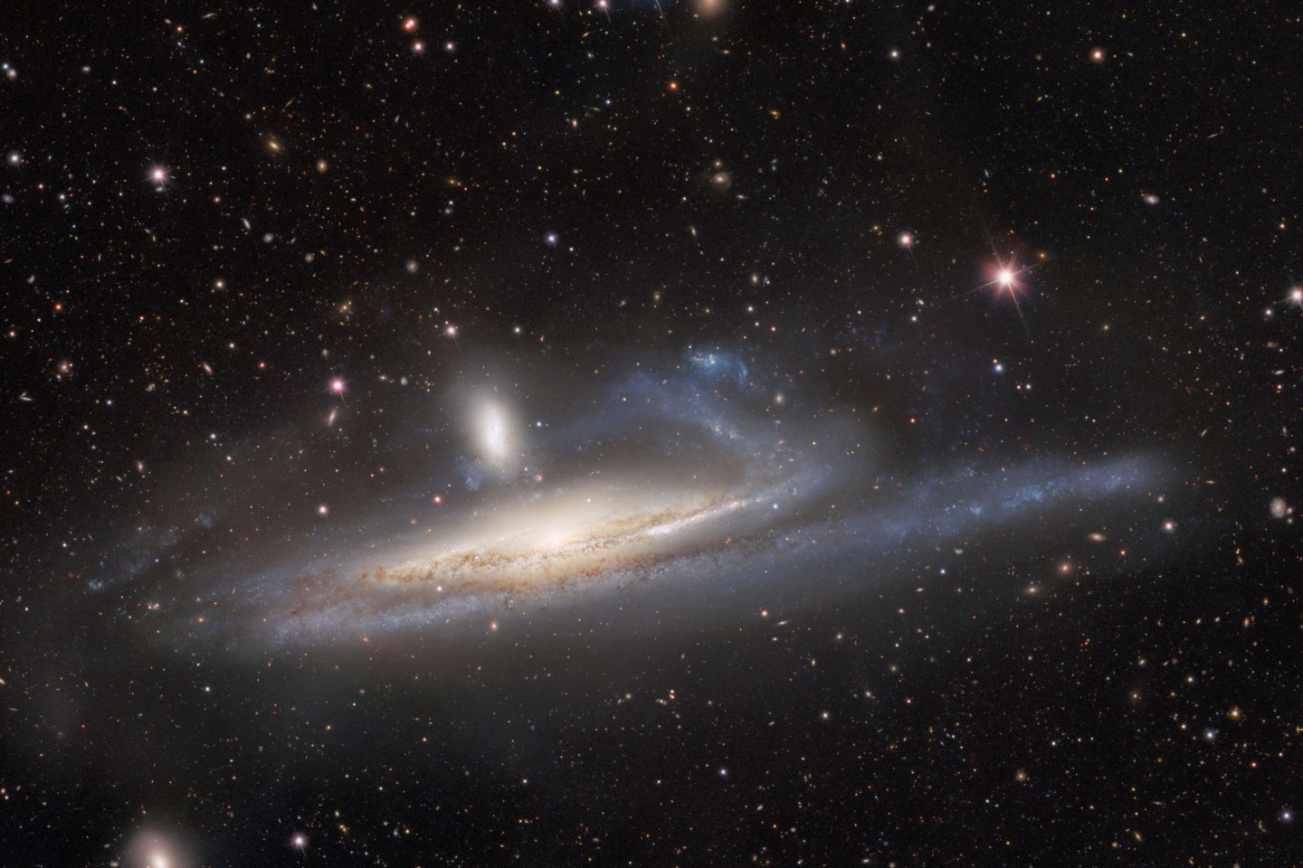 Die Zwerggalaxie «NGC 1531» und die große Spiralgalaxie «NGC 1532» kurz vor der Verschmelzung.