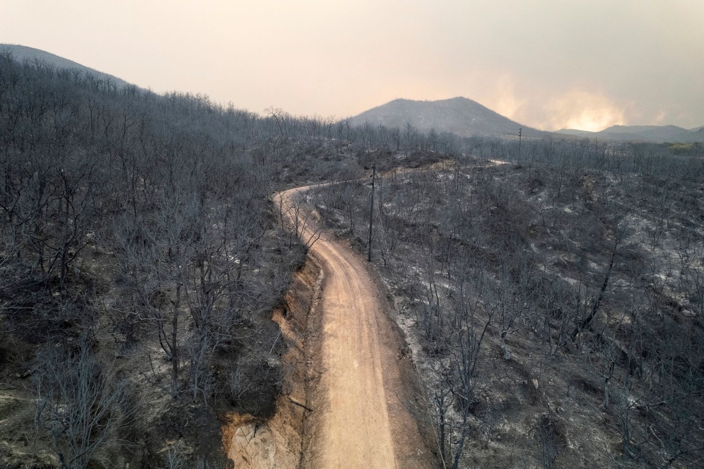 Blick auf einen verbrannten Wald in der Nähe der Stadt Alexandroupolis in der nordöstlichen Region Evros.