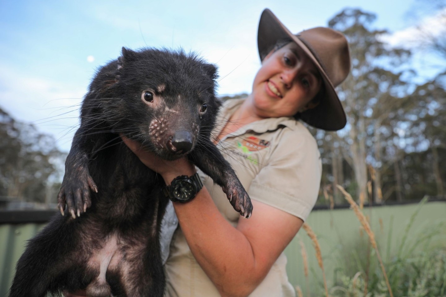 Kuratorin Kelly Davis zeigt den Tasmanischen Teufel Lucas.
