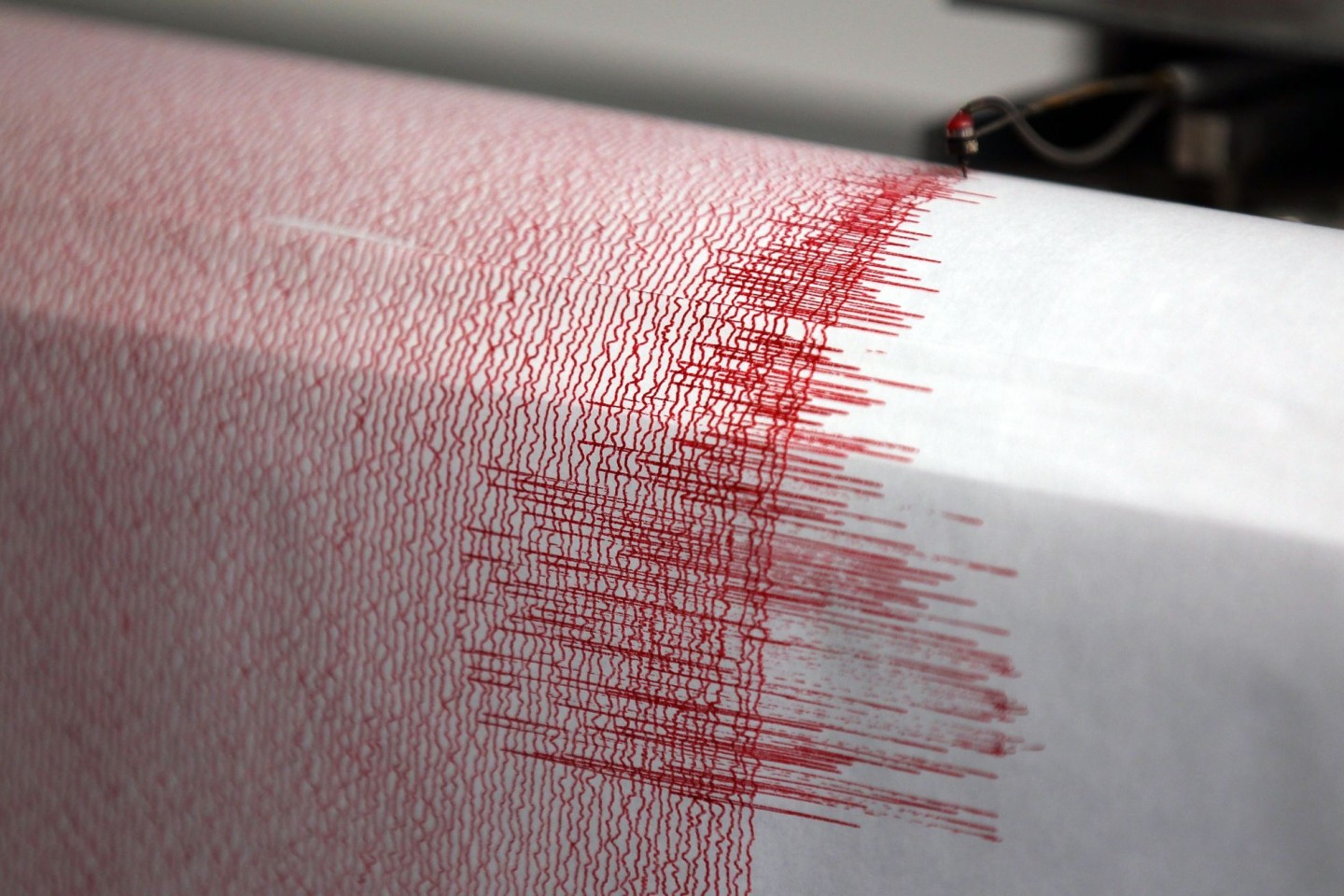 Ein Seismograph schlägt aus. (Symbolbild)