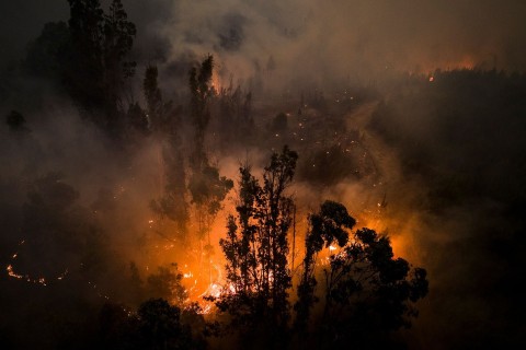 Mindestens 23 Tote bei Waldbränden in Chile 