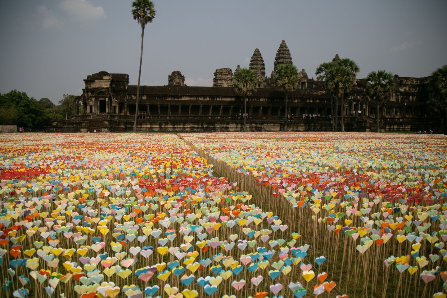 Ein Meer aus Origami-Herzen steht vor der berühmten Tempelanlage Angkor Wat.