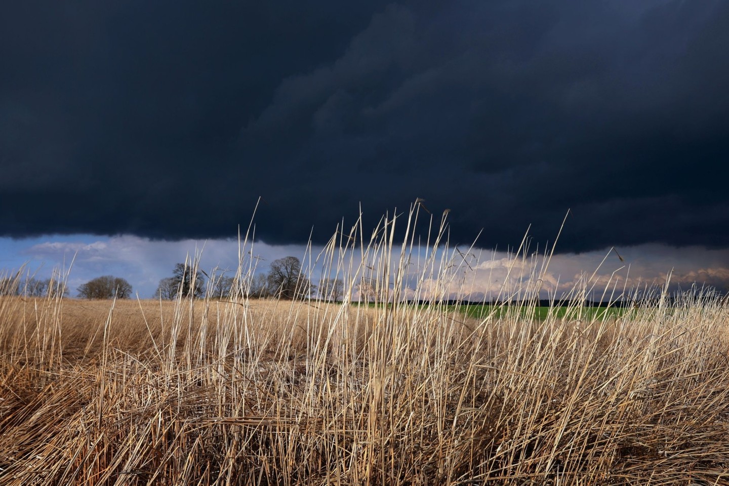 Gewitterwolken ziehen über ein Feld: Das Wetter am Abend ist durchwachsen.