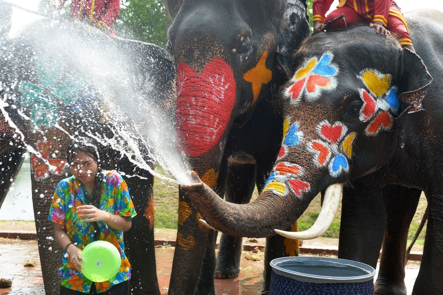Ein Elefant spritzt mit. Das traditionelle Wasserfest Songkran wird jedes Jahr vom 13. bis 15. April gefeiert.