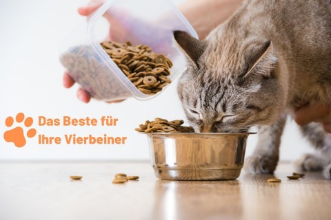 Gesunde Tiernahrung für Hunde & Katzen
