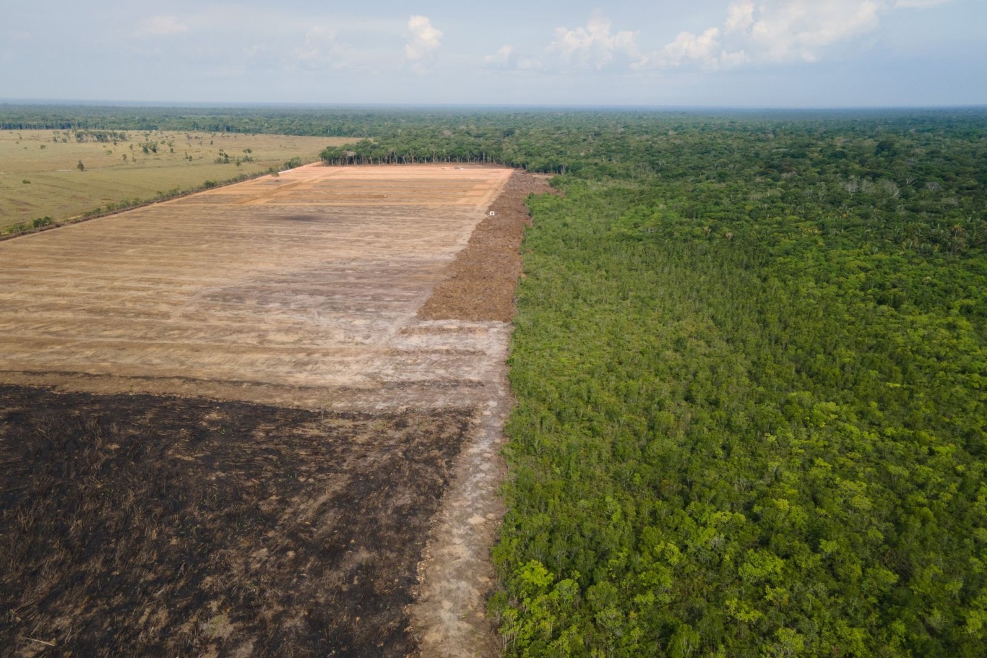 Eine verbrannte und abgeholzte Fläche im Amazonas-Gebiet (Archivbild).