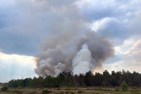Wind hat Waldbrand in Brandenburg wieder angefacht 